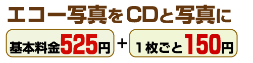 エコー写真をＣＤと写真にイメージ１