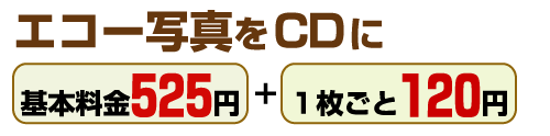 エコー写真をCDにイメージ1