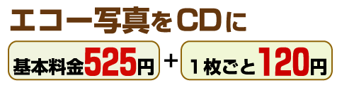 エコー写真をＣＤにイメージ１