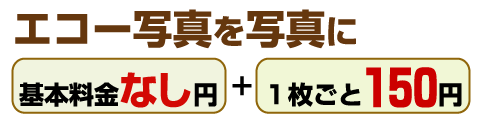 エコー写真を写真にイメージ1
