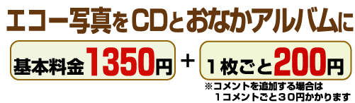 エコー写真をCDとおなかアルバムにイメージ1