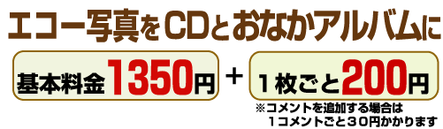 エコー写真をＣＤとおなかアルバムにイメージ１